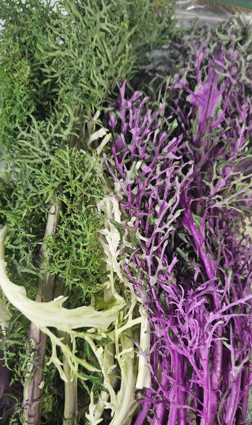 October’s Seasonal British Vegetables