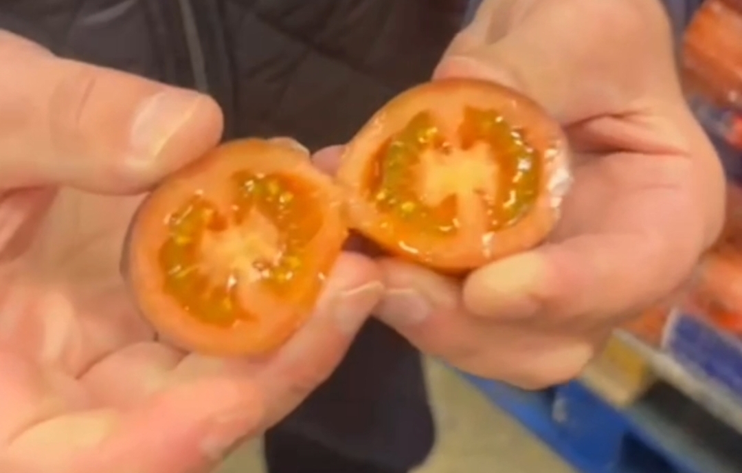 Winter Italian Black Tomatoes