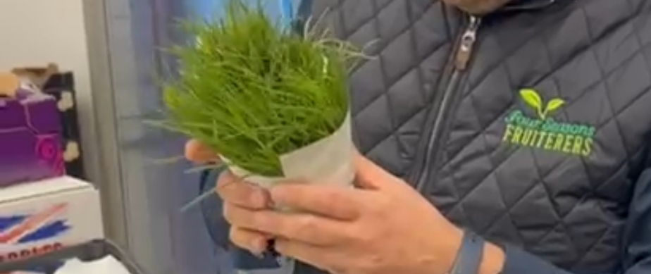 Agretti Monks Beard