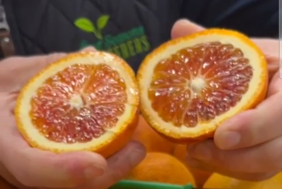 Italian blood oranges