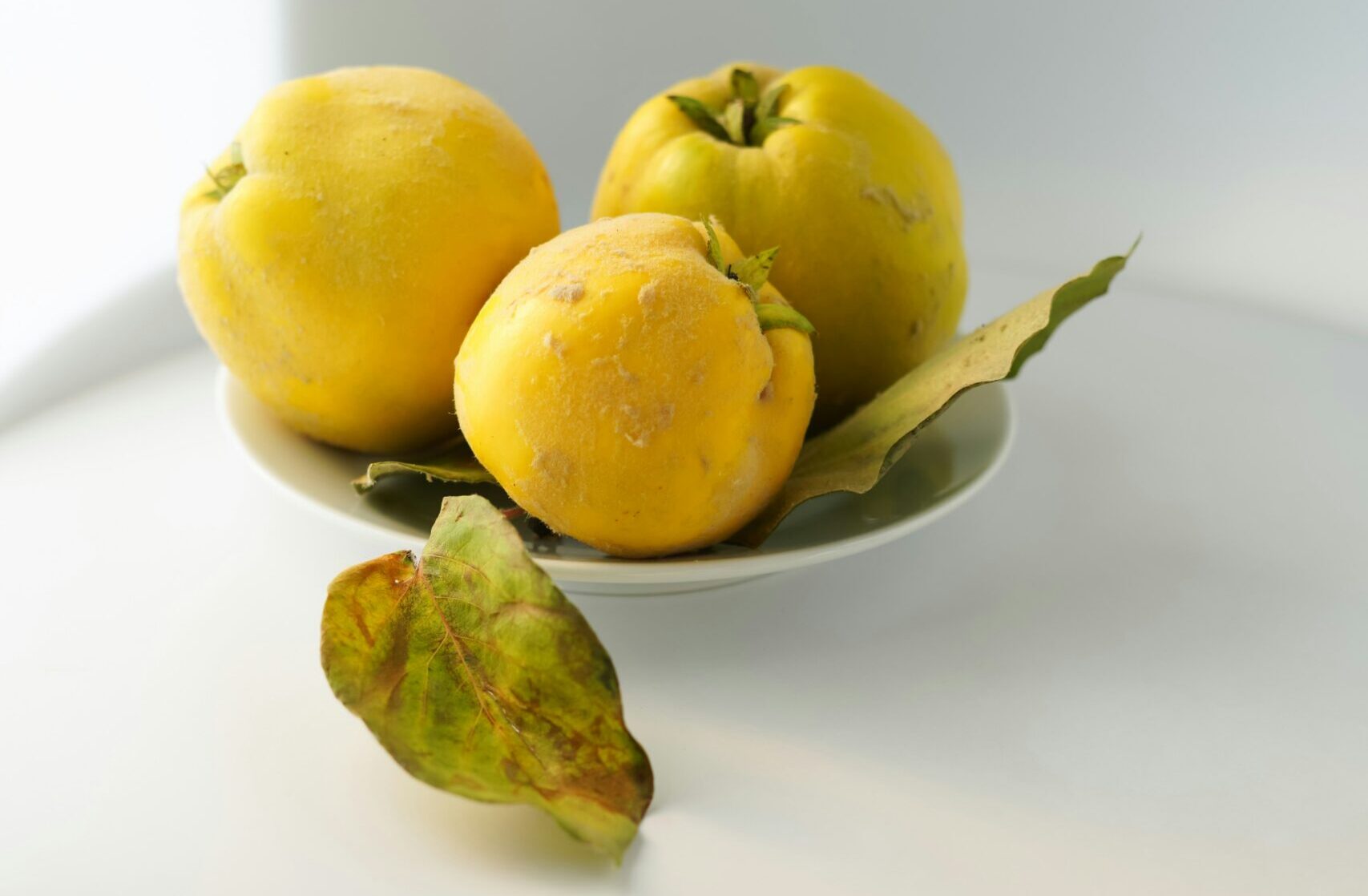 yellow ripe quince fruit with green leaves