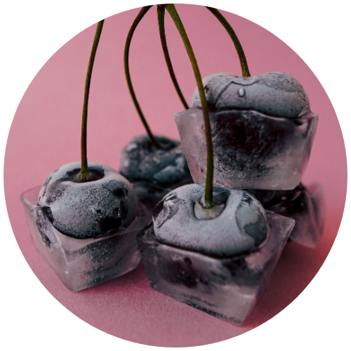 Close-up of frozen cherries encapsulated in ice cubes against a pink backdrop