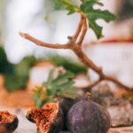 Close-up of ripe figs with a fig tree branch in a warm, rustic setting.